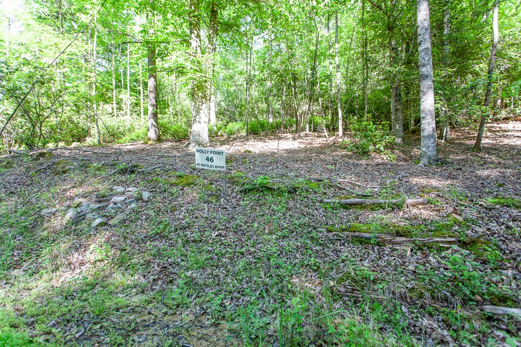 46/47 Holly Point Dr Property Photo 16