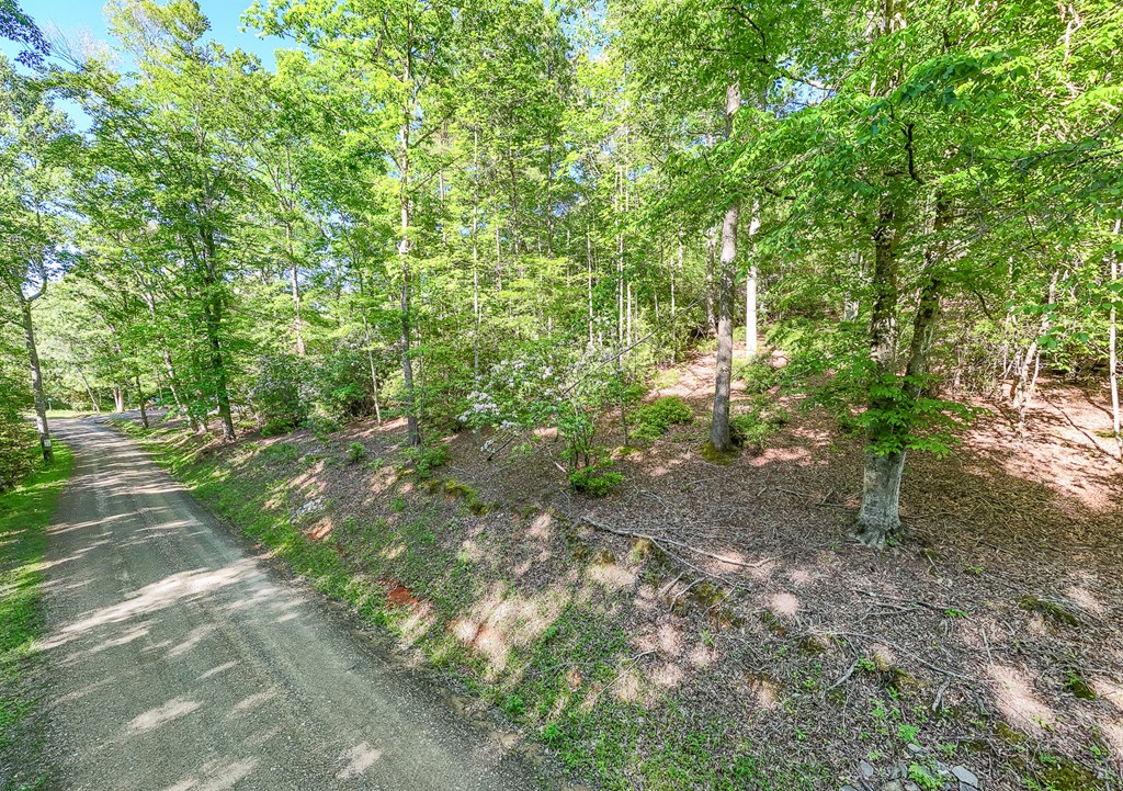 46/47 Holly Point Dr Property Photo 17