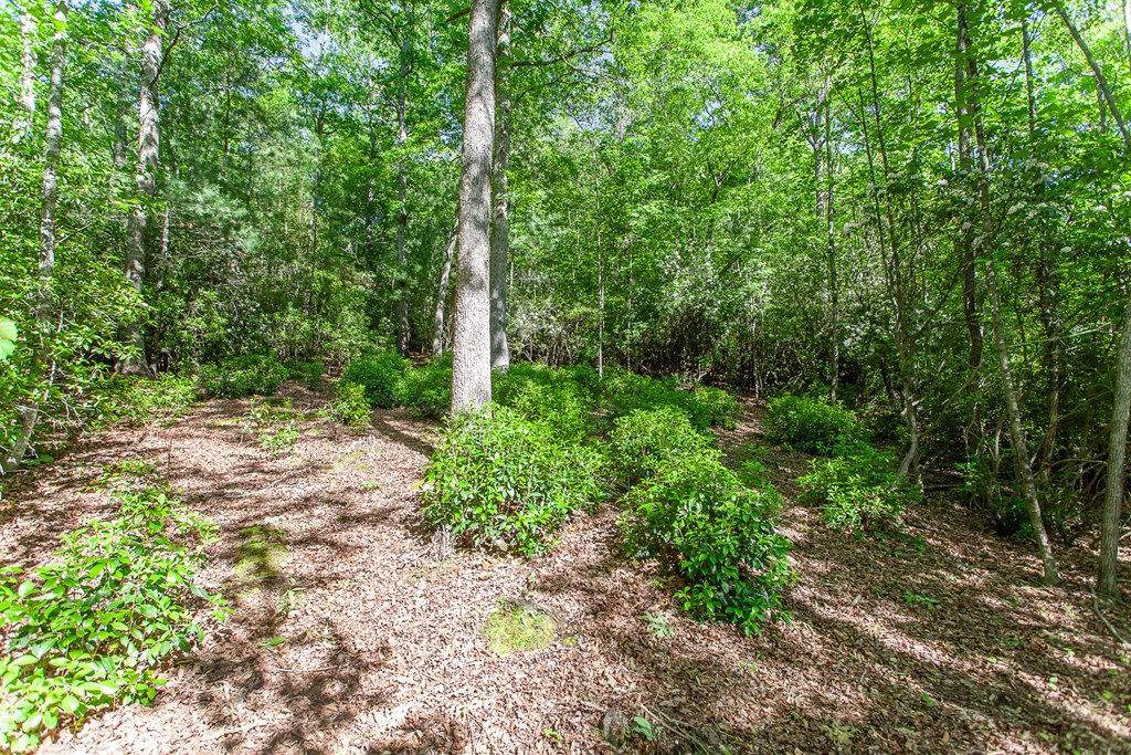 46/47 Holly Point Dr Property Photo 21