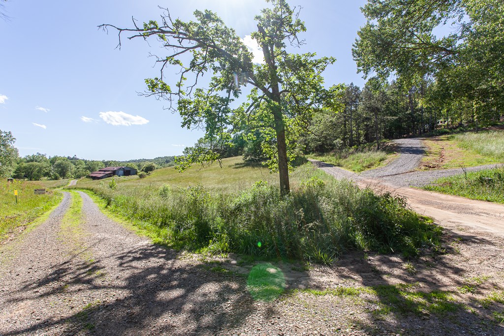4 Holly Point Dr Property Photo 12