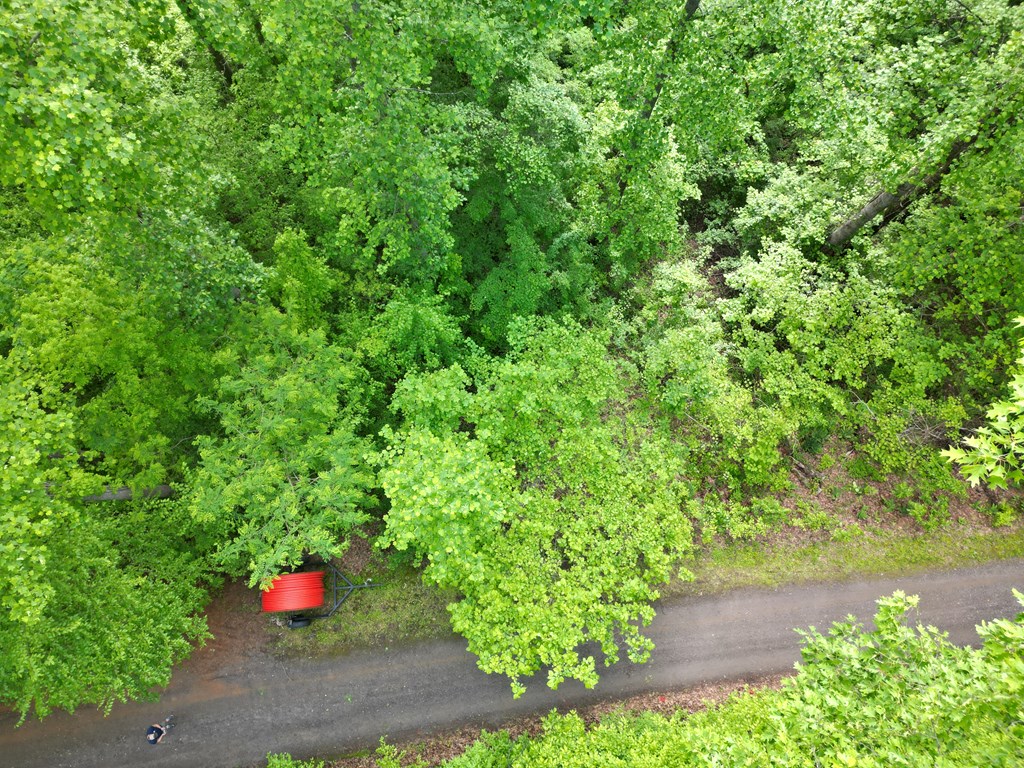 Lot 4 Anns Lane Property Photo 2