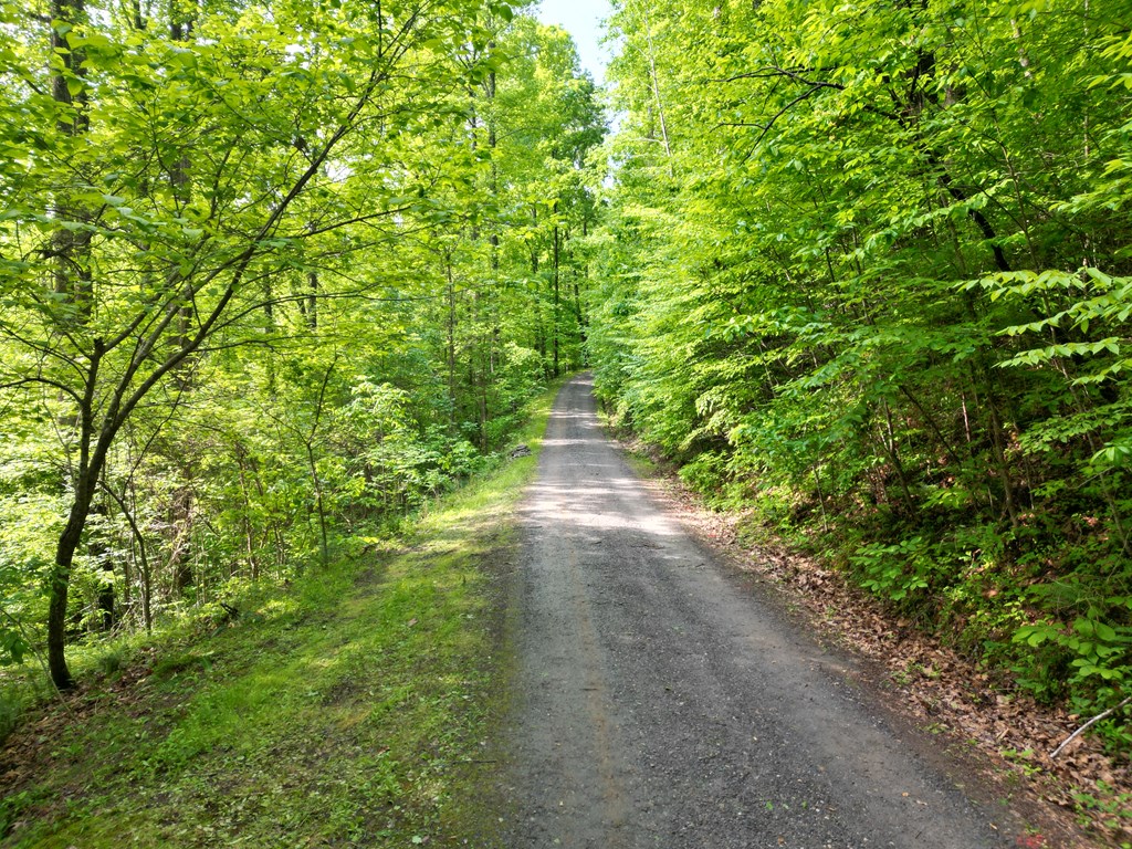 Lot 4 Anns Lane Property Photo 3