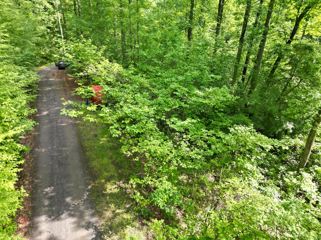Lot 4 Anns Lane Property Photo 4