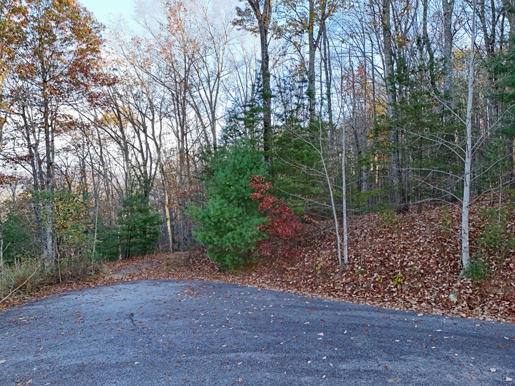 20&21 Red Twig Road Property Photo 6