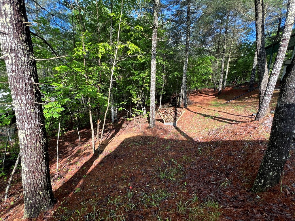 99 Conestoga Trail Property Photo 6