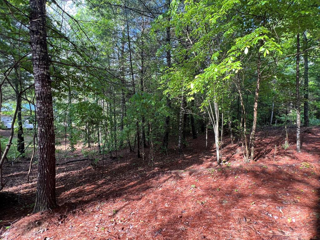 99 Conestoga Trail Property Photo 13