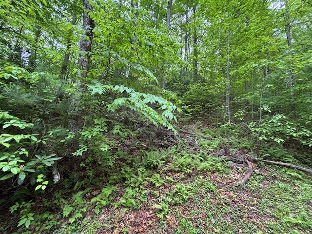 8 Lot Forest Vista Lane Property Photo 3