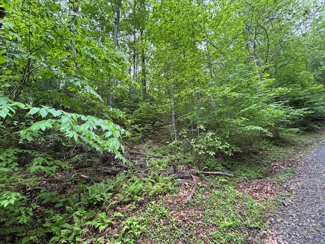 8 Lot Forest Vista Lane Property Photo 5