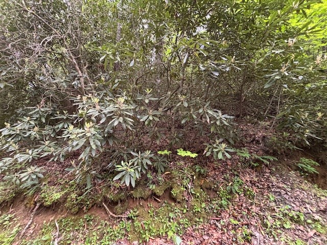 8 Lot Forest Vista Lane Property Photo 6