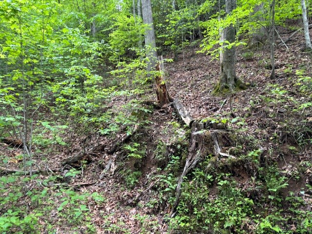 8 Lot Forest Vista Lane Property Photo 8