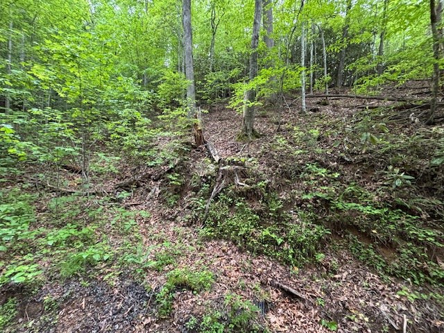 8 Lot Forest Vista Lane Property Photo 9