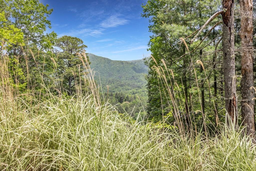 376 Eagles Rest Property Photo 1