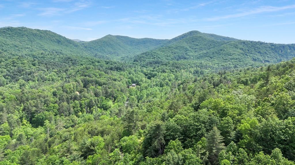 376 Eagles Rest Property Photo 2