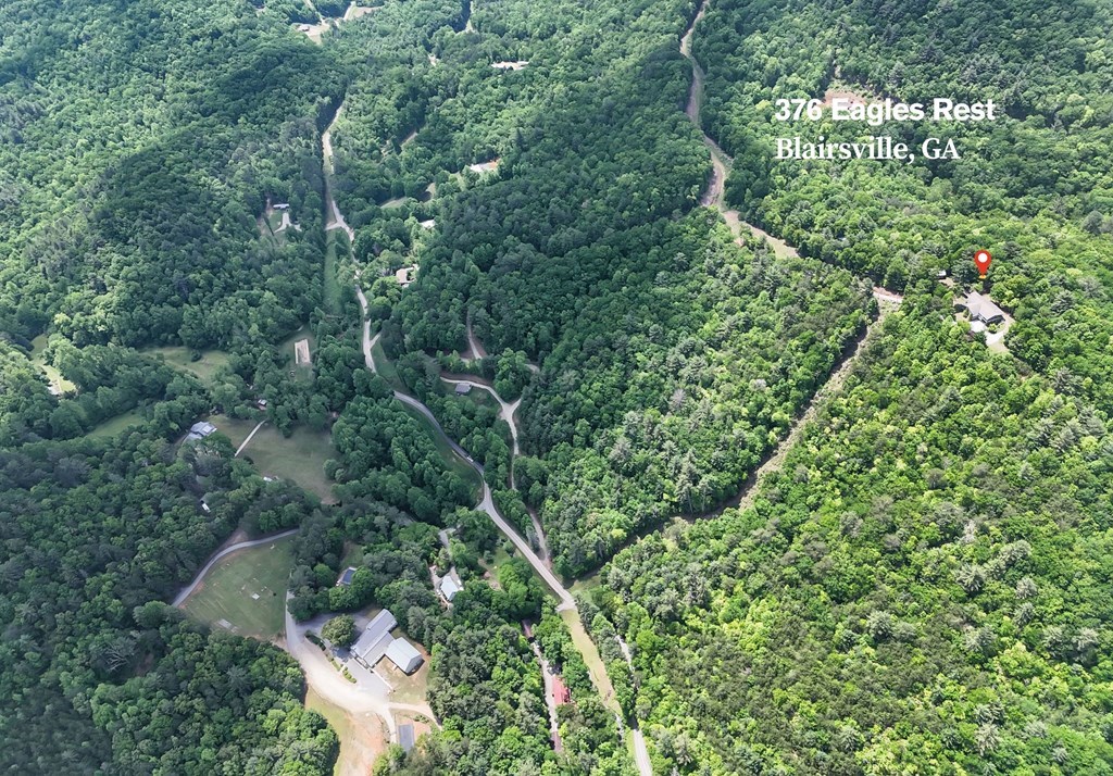 376 Eagles Rest Property Photo 5