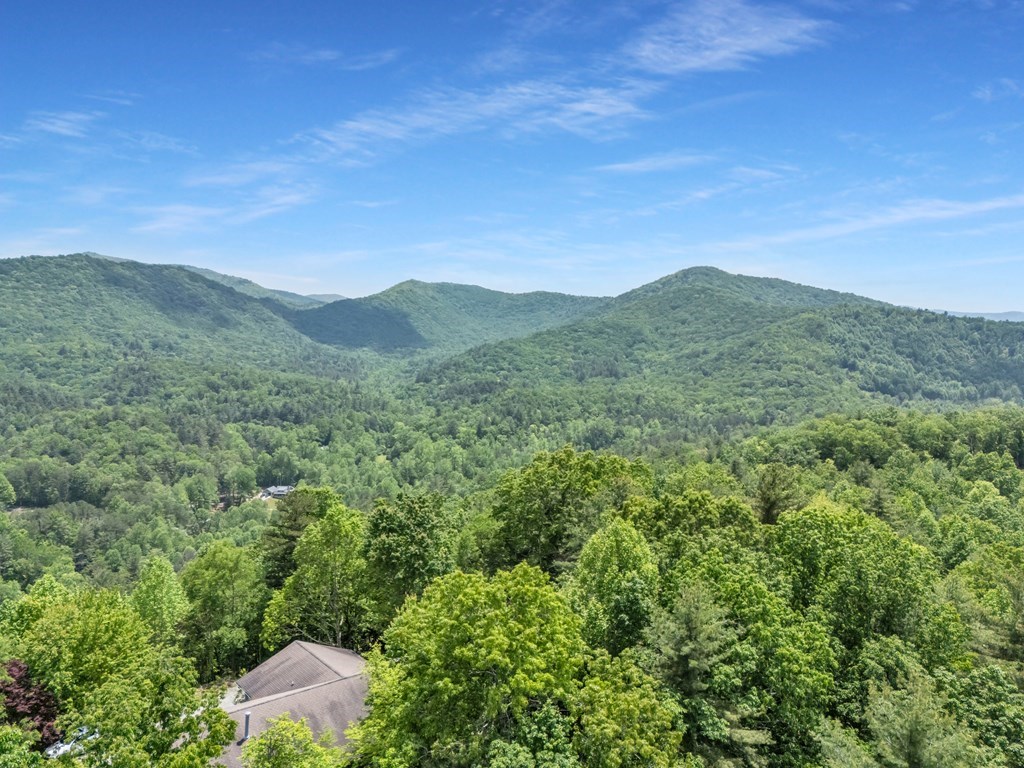 376 Eagles Rest Property Photo 9