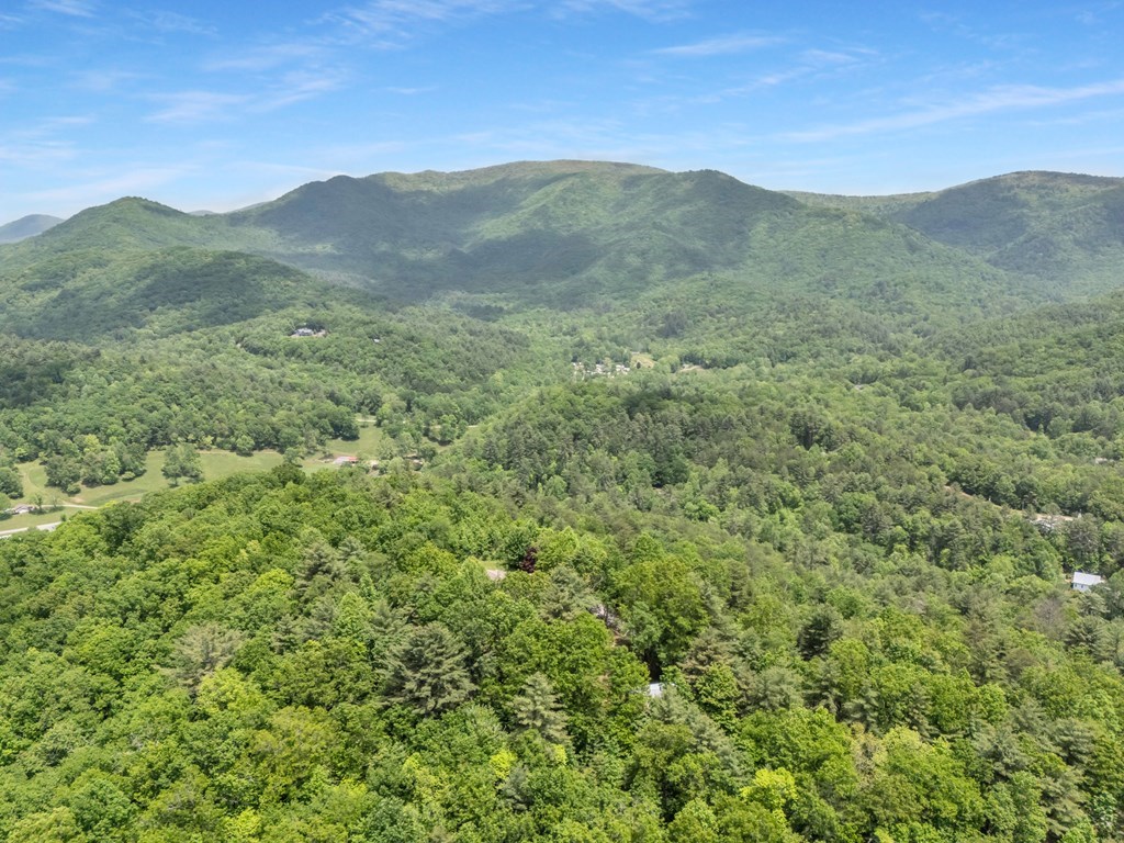 376 Eagles Rest Property Photo 11