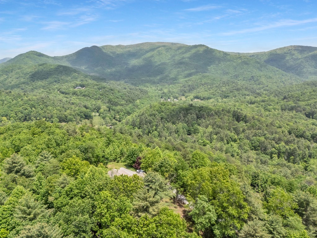 376 Eagles Rest Property Photo 12