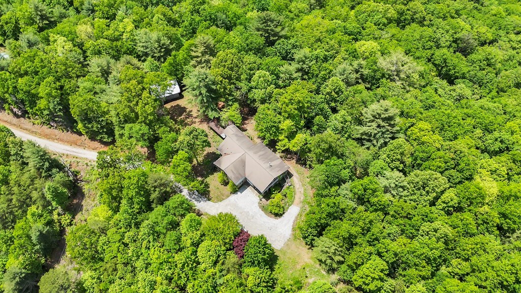 376 Eagles Rest Property Photo 15