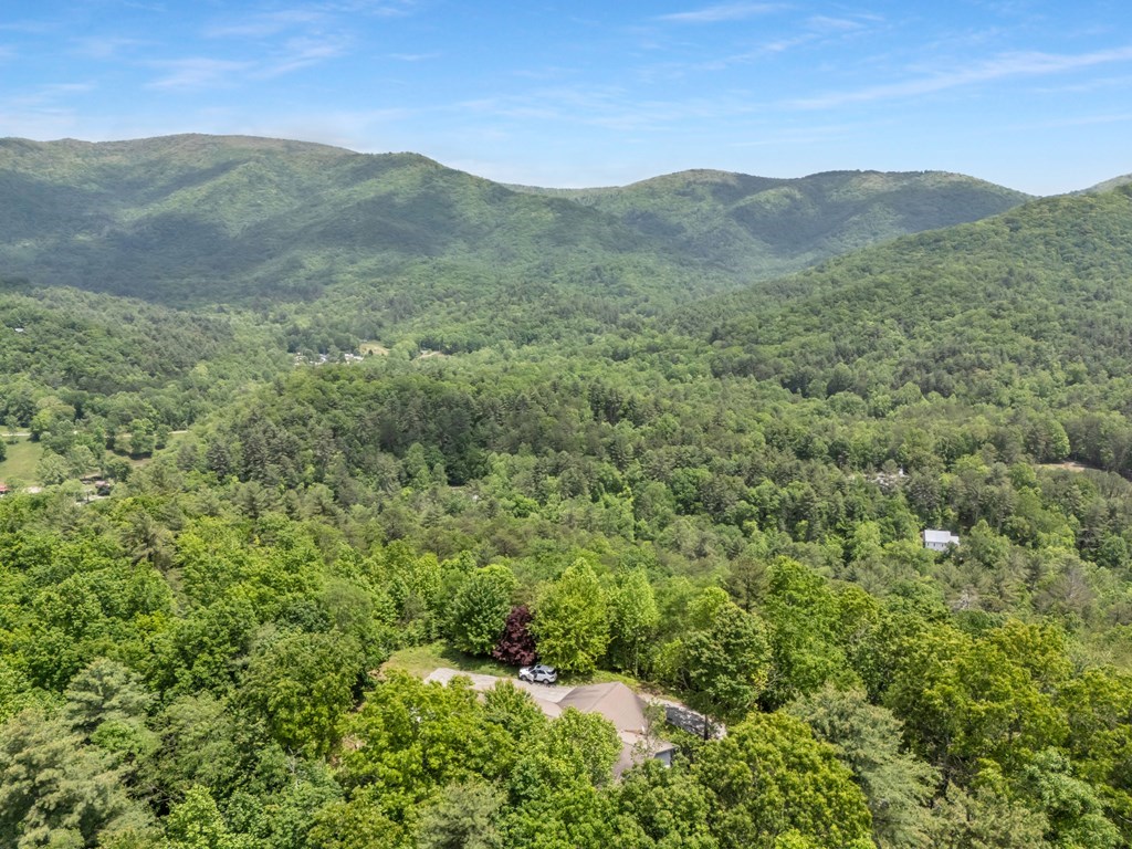 376 Eagles Rest Property Photo 34