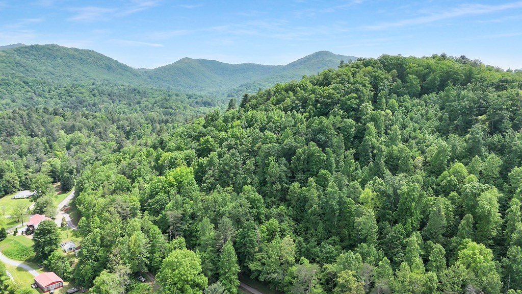 376 Eagles Rest Property Photo 46