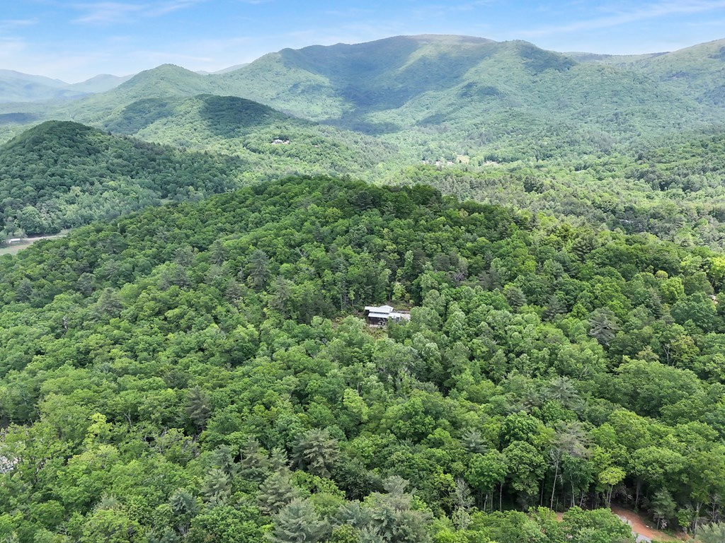 376 Eagles Rest Property Photo 49