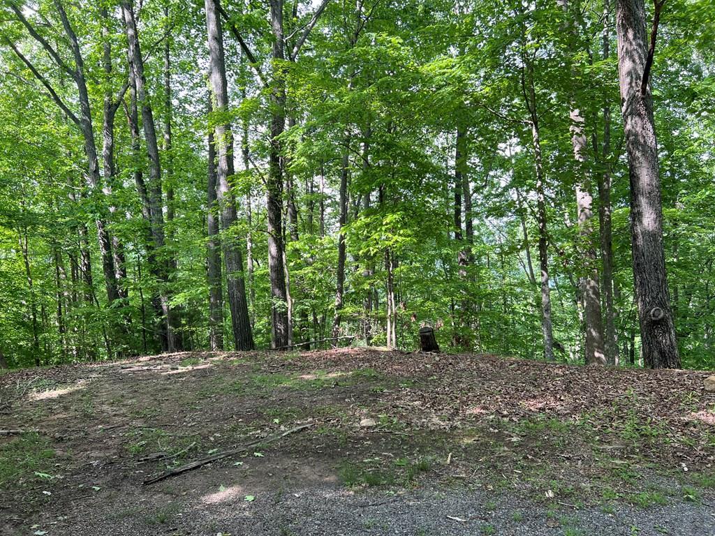Lot 26 Longview Ridge Property Photo 1