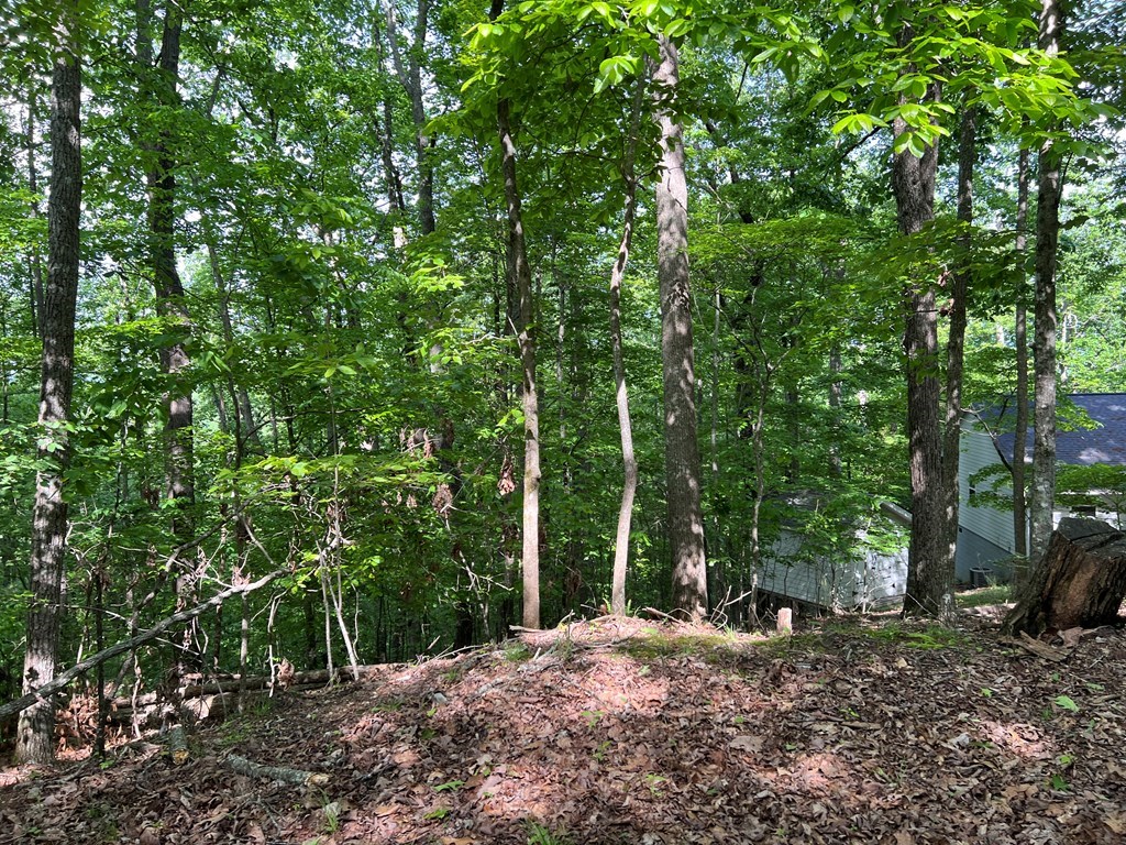Lot 26 Longview Ridge Property Photo 3