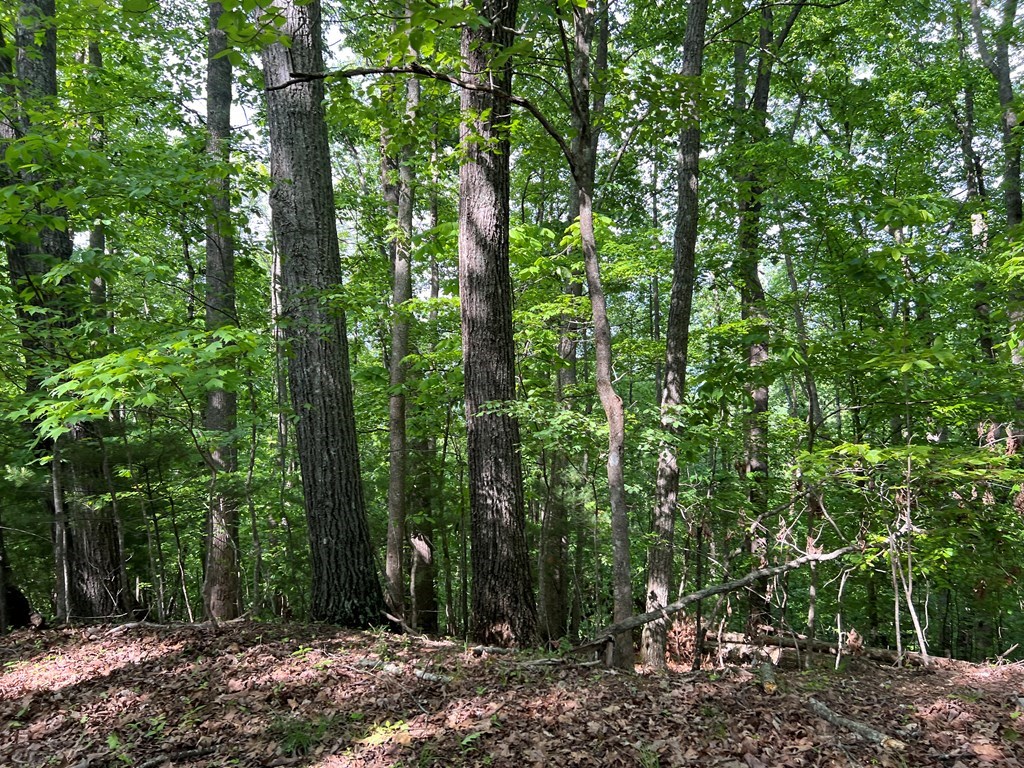 Lot 26 Longview Ridge Property Photo 4