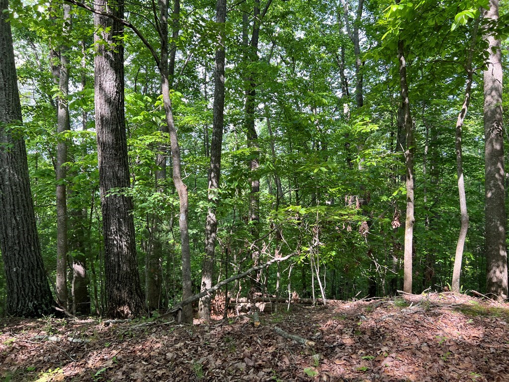 Lot 26 Longview Ridge Property Photo 5