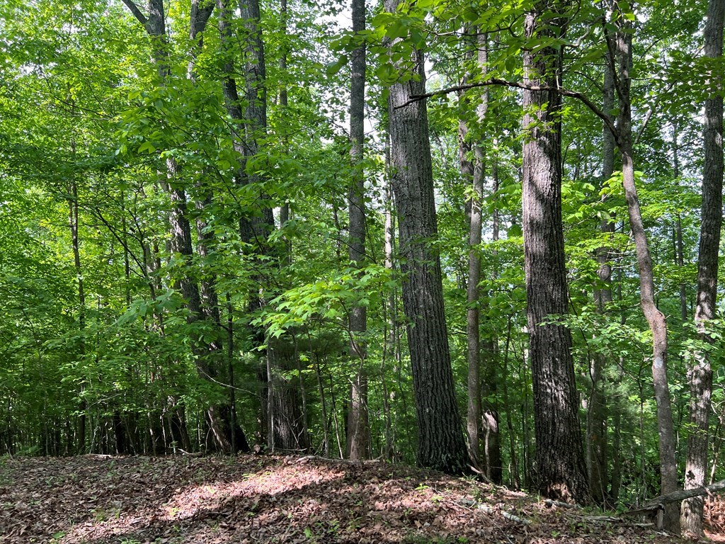 Lot 26 Longview Ridge Property Photo 6