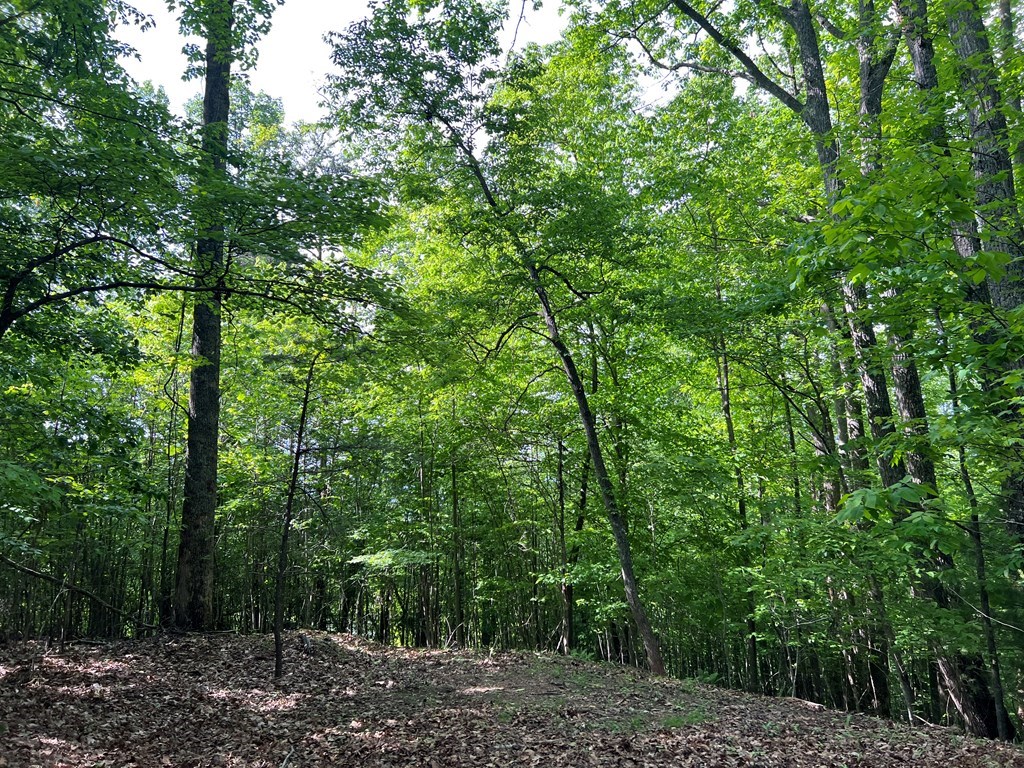 Lot 26 Longview Ridge Property Photo 7