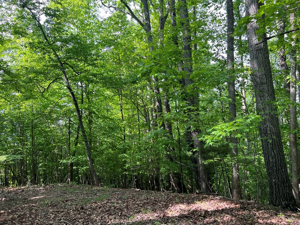 Lot 26 Longview Ridge Property Photo 8