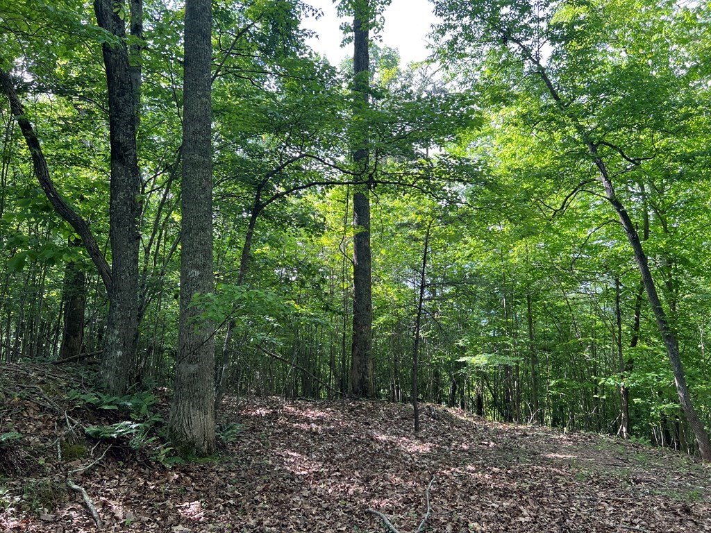 Lot 26 Longview Ridge Property Photo 9