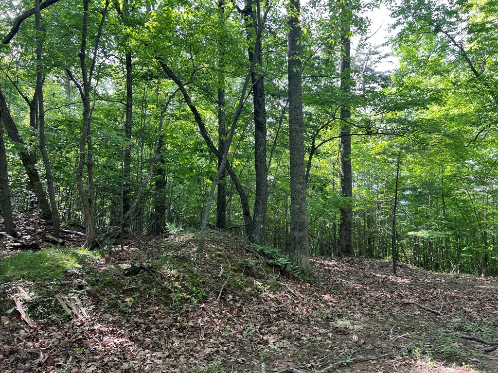 Lot 26 Longview Ridge Property Photo 10