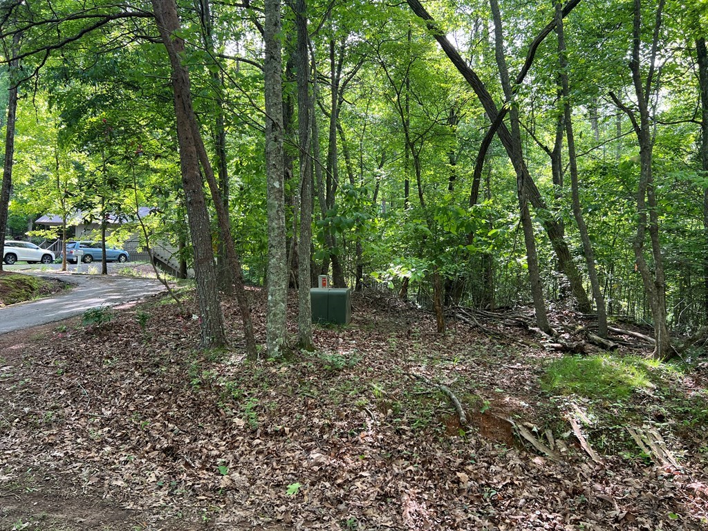 Lot 26 Longview Ridge Property Photo 11