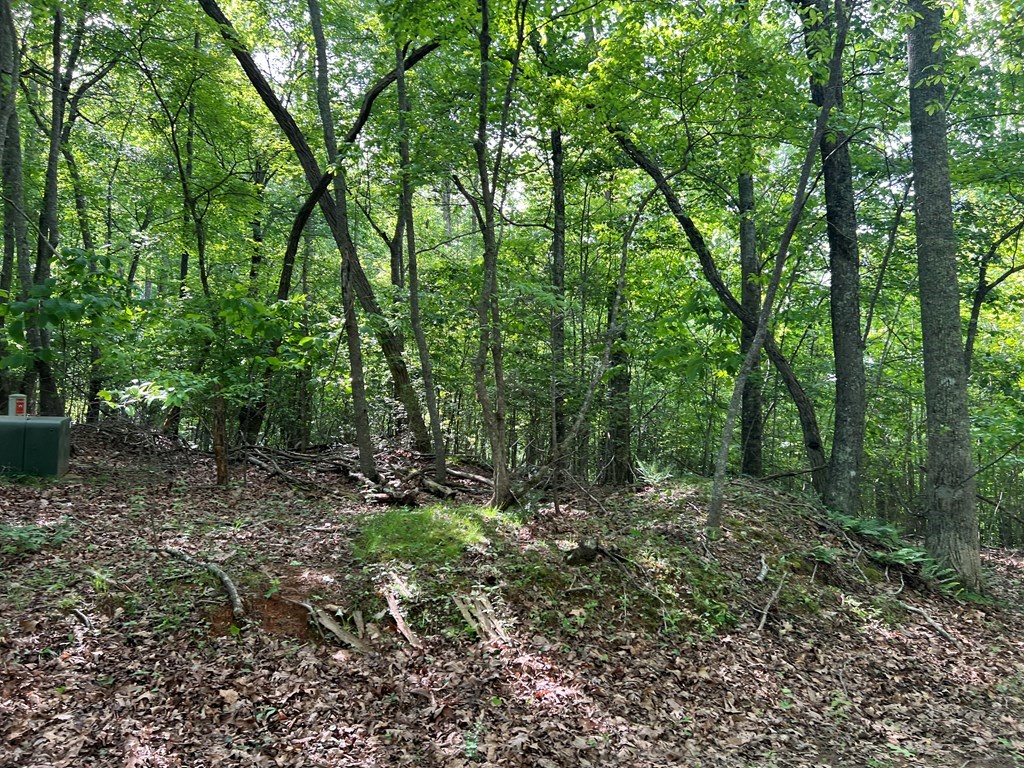 Lot 26 Longview Ridge Property Photo 12