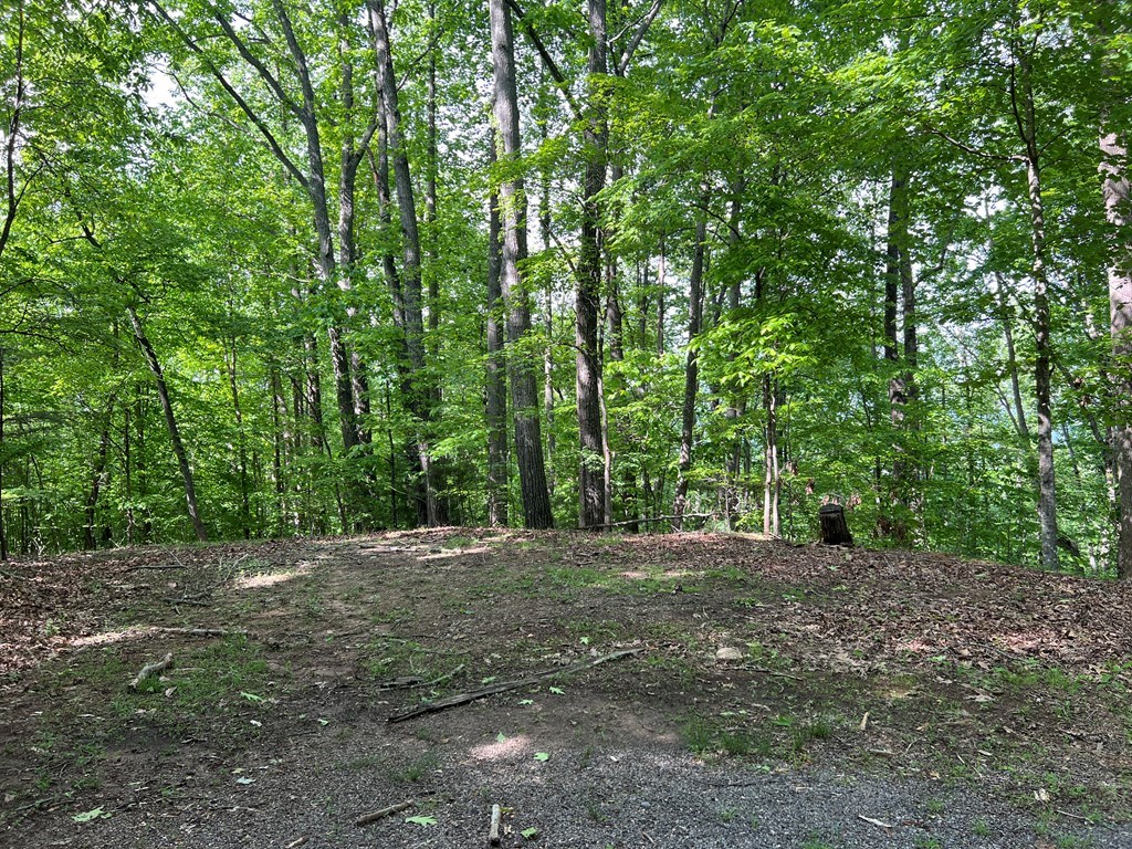 Lot 26 Longview Ridge Property Photo 13