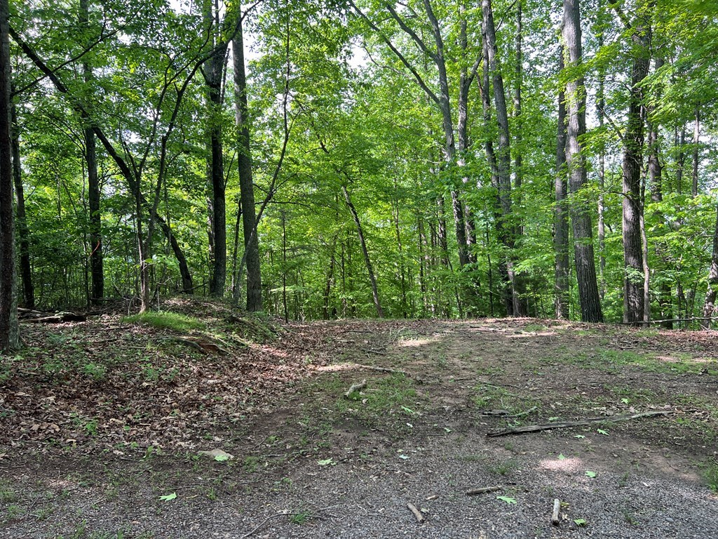 Lot 26 Longview Ridge Property Photo 14