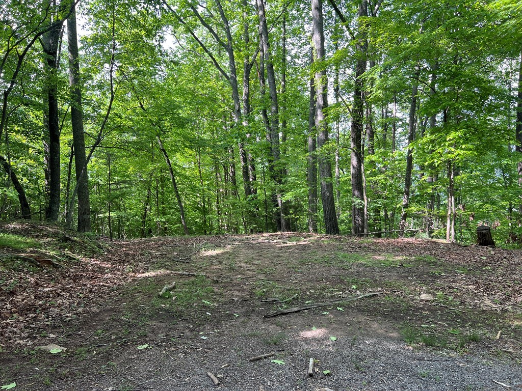 Lot 26 Longview Ridge Property Photo 15