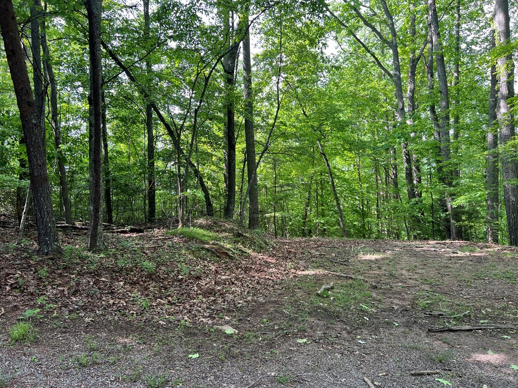 Lot 26 Longview Ridge Property Photo 16