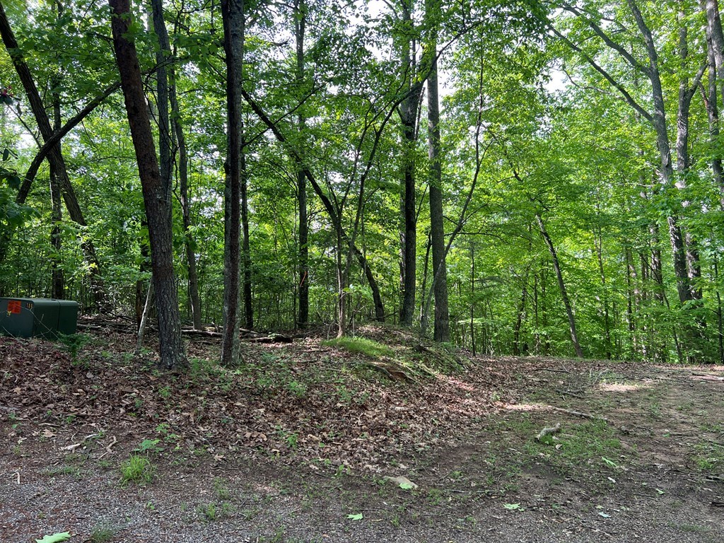 Lot 26 Longview Ridge Property Photo 17