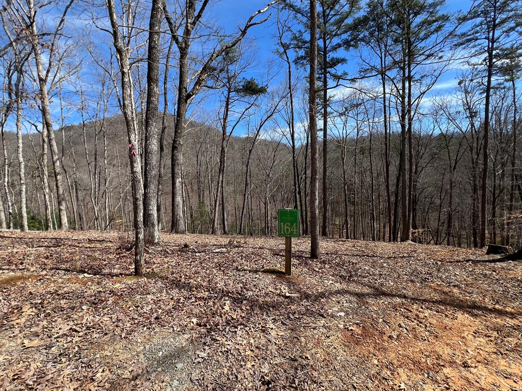 Lot 164 Tracks Hollow Property Photo 1
