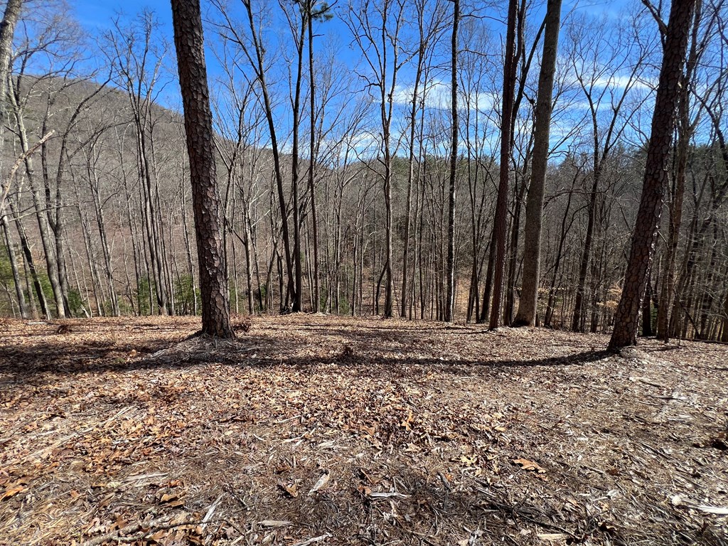Lot 164 Tracks Hollow Property Photo 2