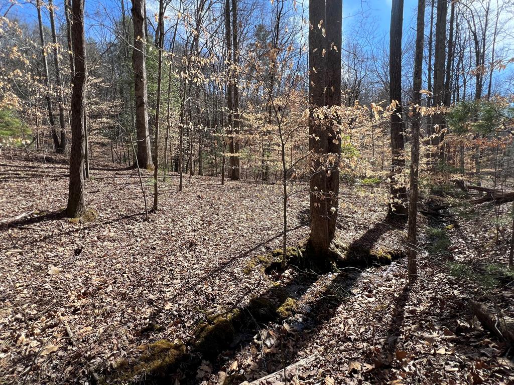 Lot 164 Tracks Hollow Property Photo 6
