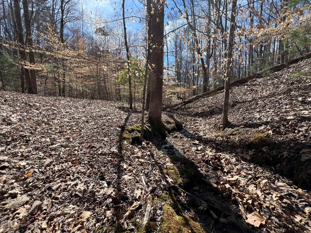 Lot 164 Tracks Hollow Property Photo 7