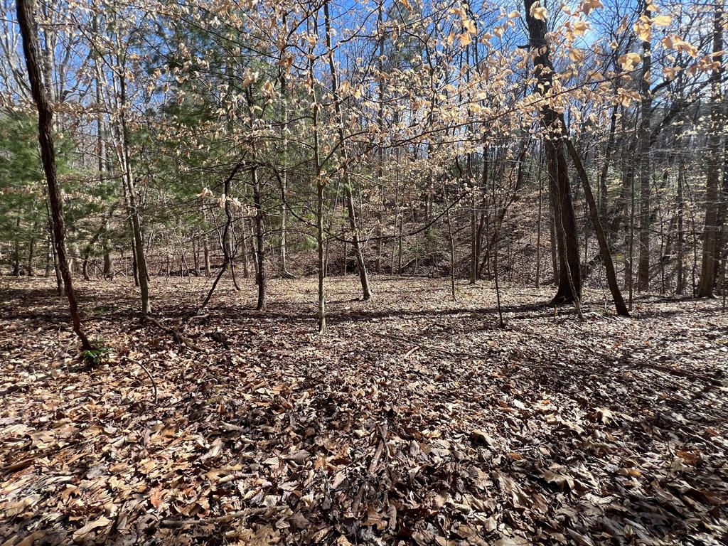 Lot 164 Tracks Hollow Property Photo 8
