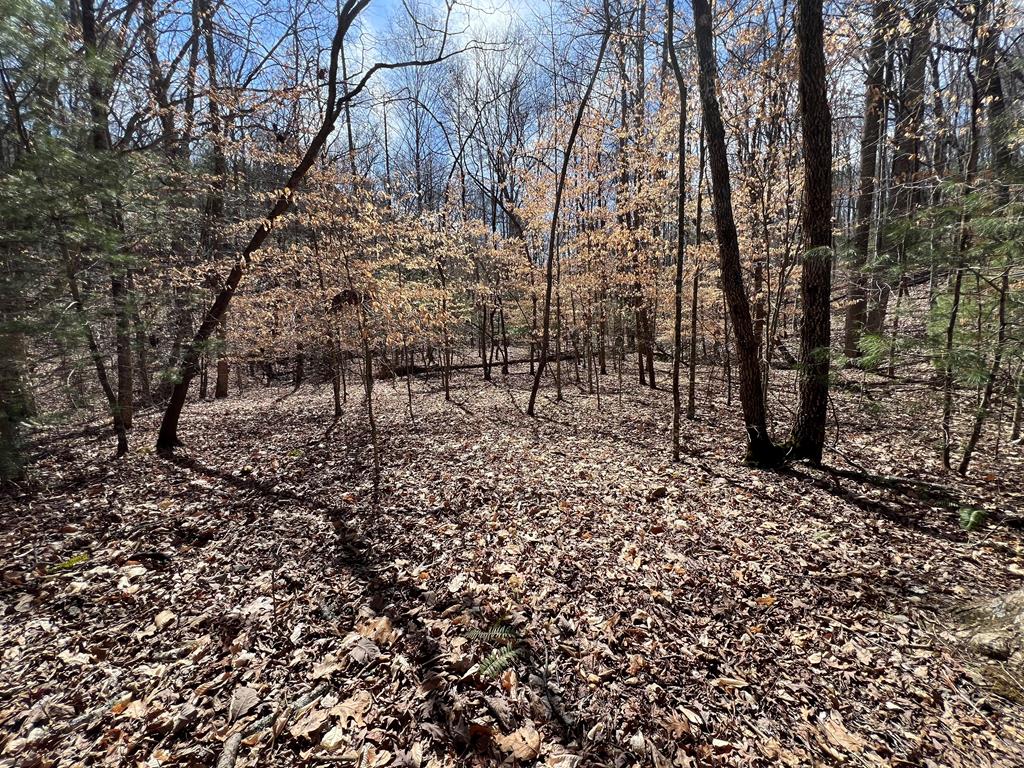 Lot 164 Tracks Hollow Property Photo 9