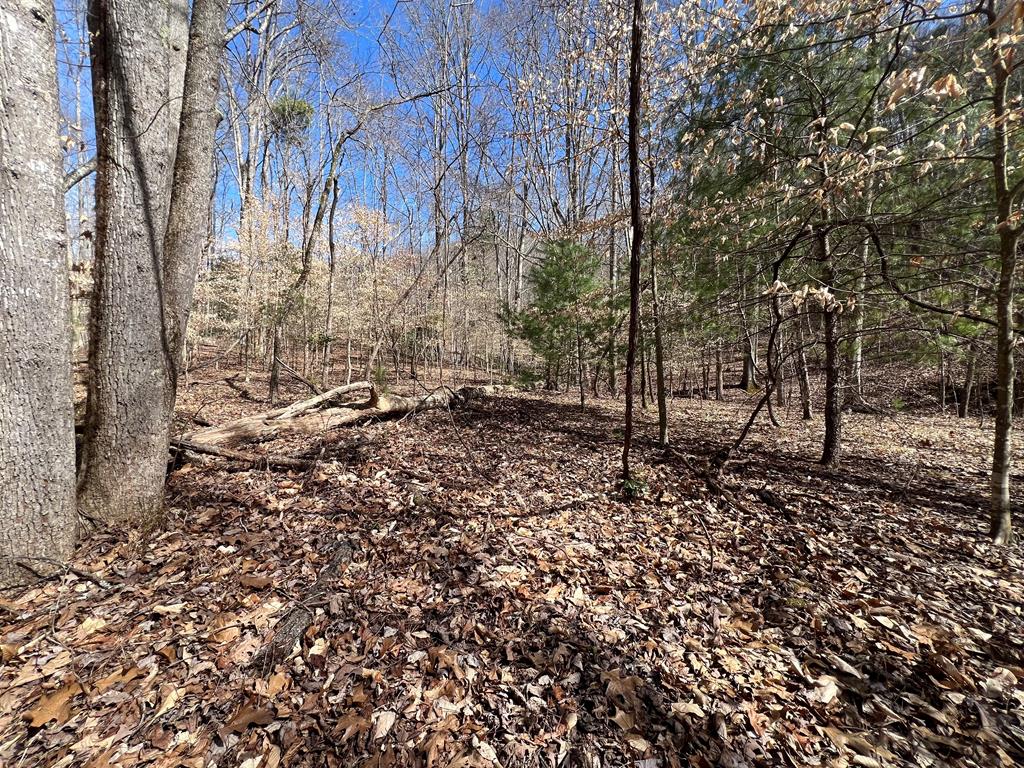 Lot 164 Tracks Hollow Property Photo 10