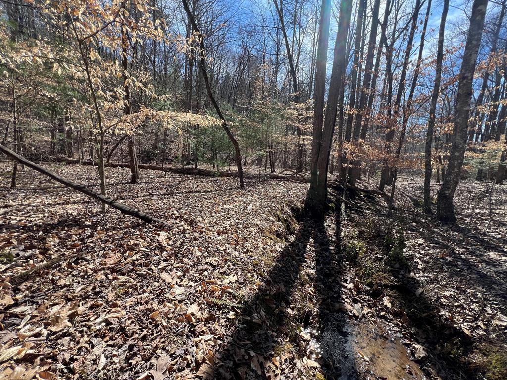 Lot 164 Tracks Hollow Property Photo 11