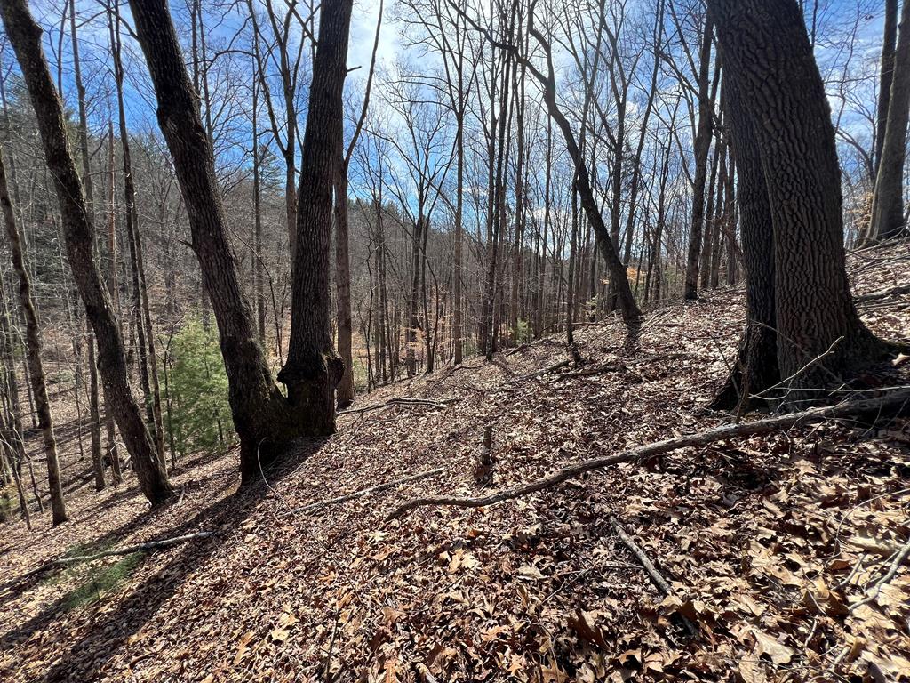 Lot 164 Tracks Hollow Property Photo 12